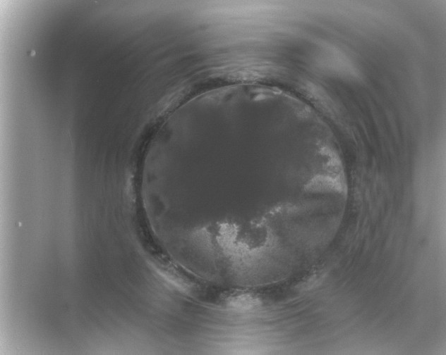 X0000070860258200606302053