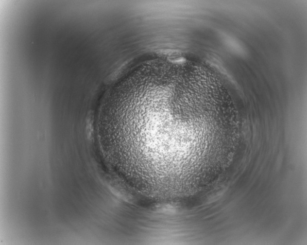 X0000070860259200606302053