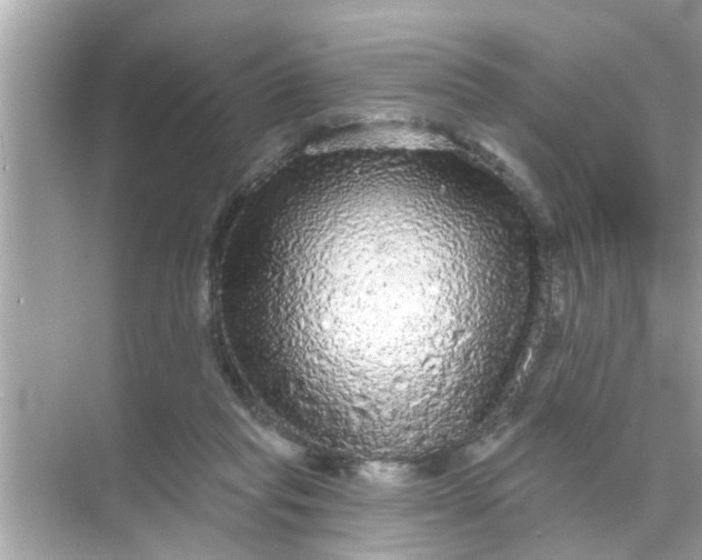 X0000070860261200606302053