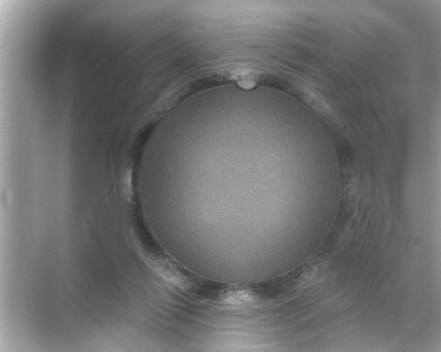 X0000070860262200606302053