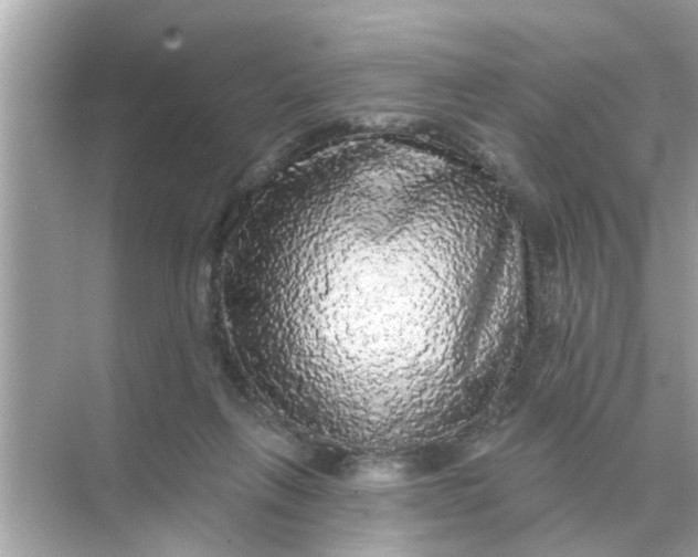 X0000070860263200606302053