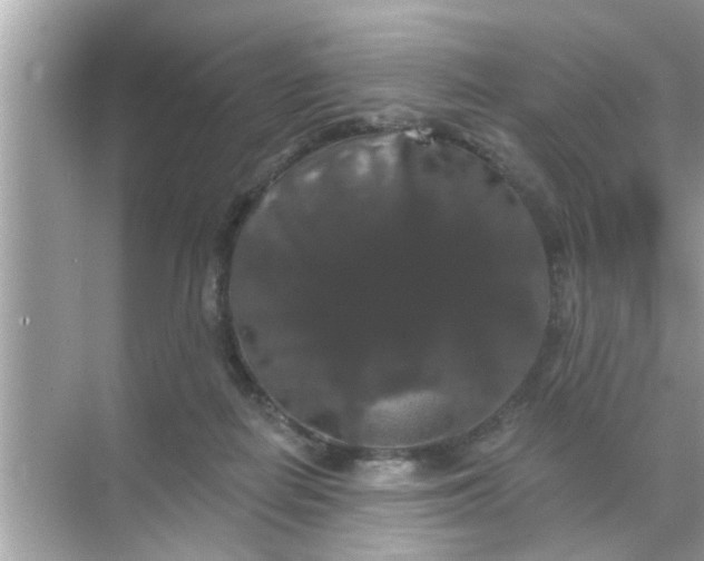 X0000070860266200606302053