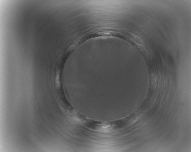 X0000070860267200606302053