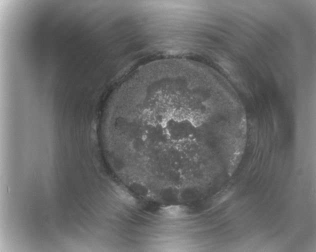 X0000070860269200606302053