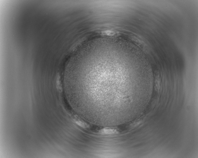 X0000070860270200606302053