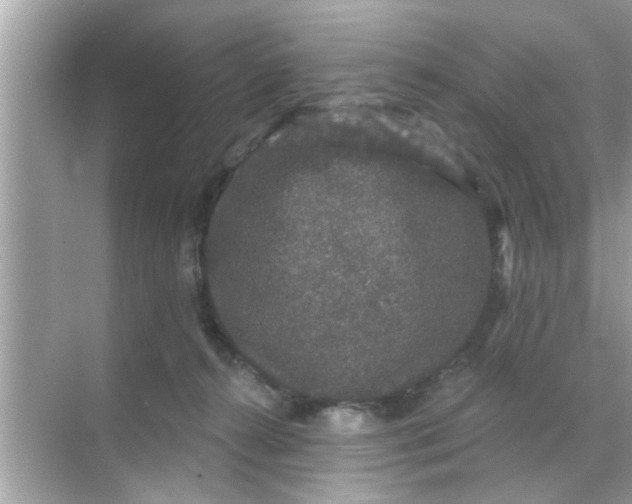 X0000070860272200606302053