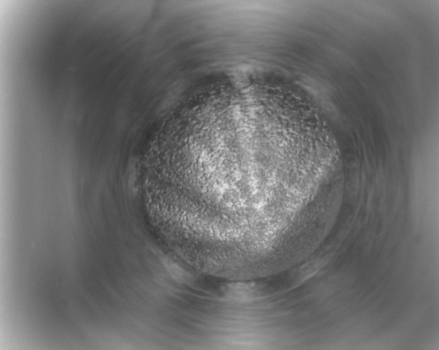 X0000070860273200606302053