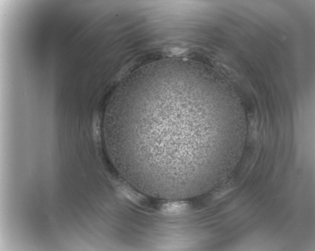 X0000070860274200606302053