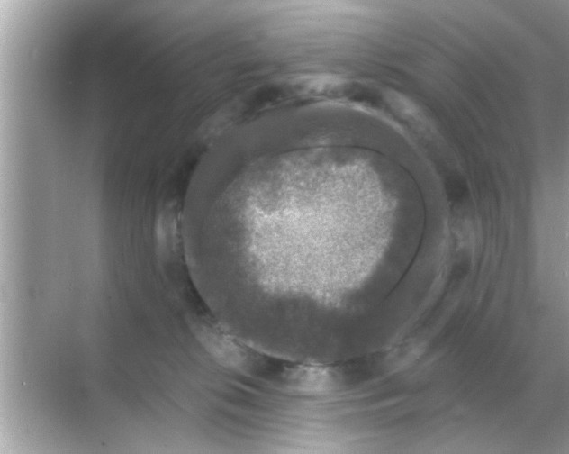 X0000070860276200606302053