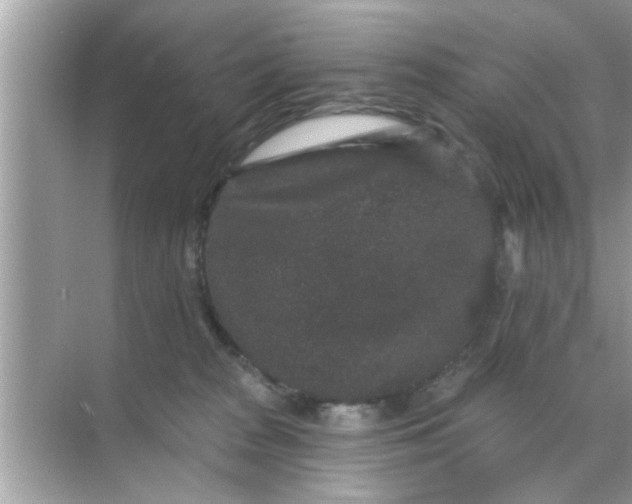 X0000070860277200606302053