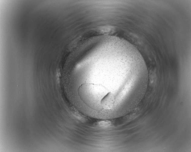 X0000070860279200606302053