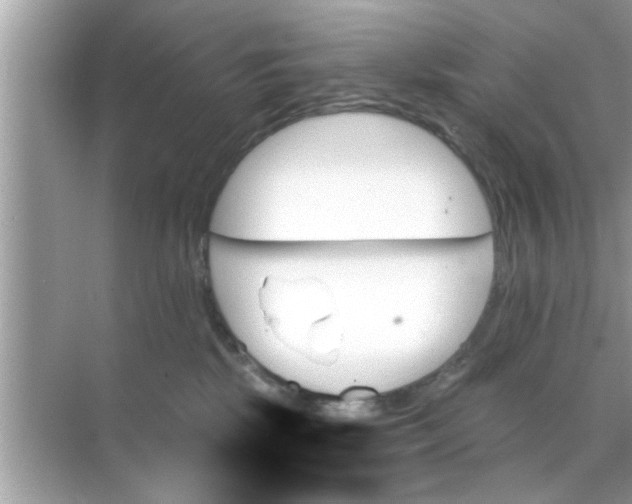 X0000070860281200606302054