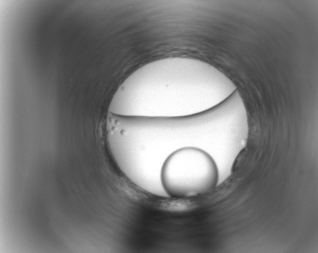 X0000070860282200606302054