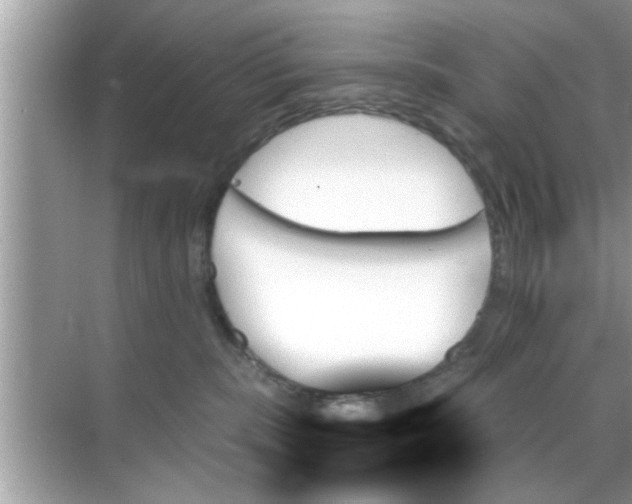 X0000070860283200606302054