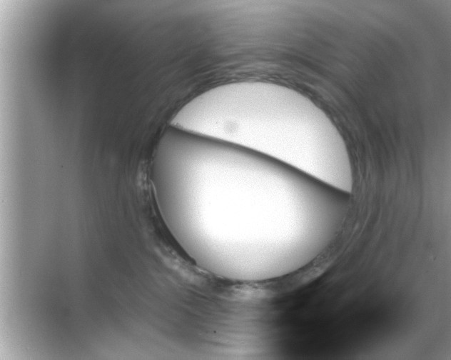 X0000070860284200606302054