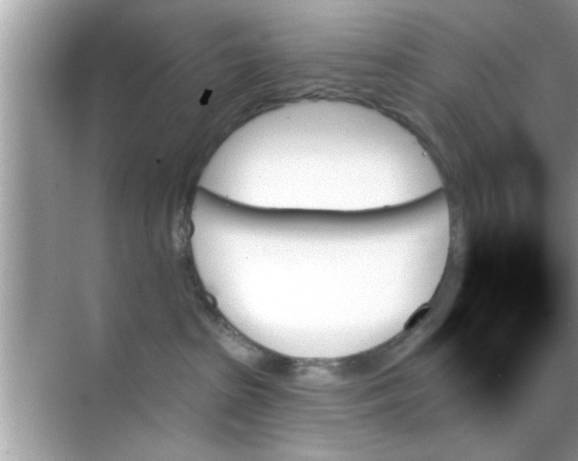 X0000070860285200606302054