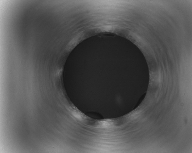 X0000070860286200606302054