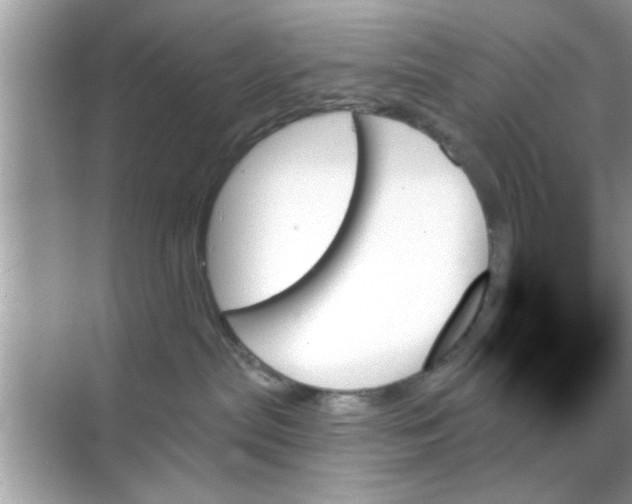 X0000070860287200606302054