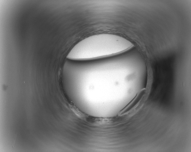 X0000070860288200606302054