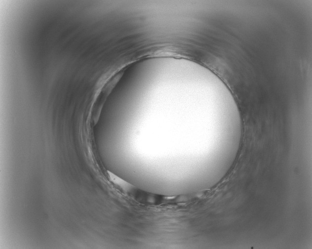 X0000070860289200606302053