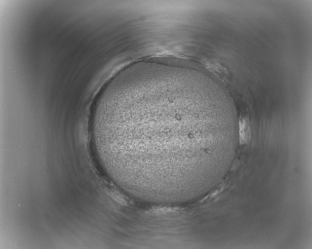 X0000070860291200606302053