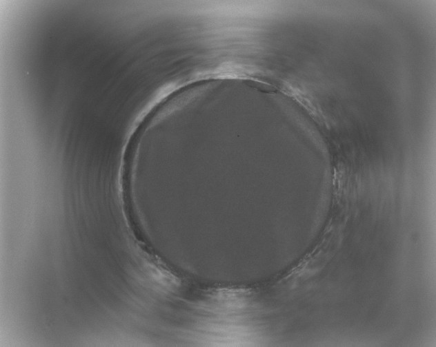 X0000070860292200606302053