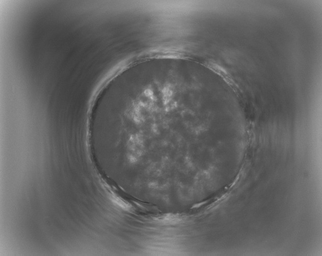 X0000070860293200606302053