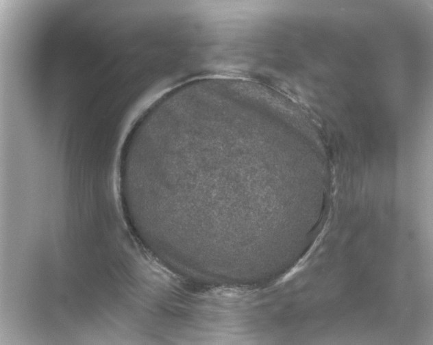 X0000070860294200606302053