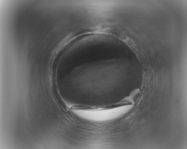 X0000070860295200606302053