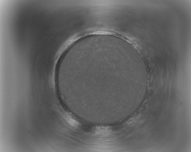 X0000070860296200606302053