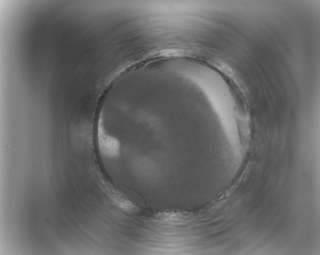 X0000070860297200606302053