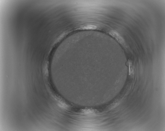 X0000070860300200606302053