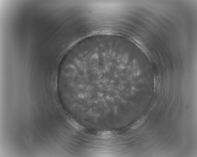 X0000070860301200606302053