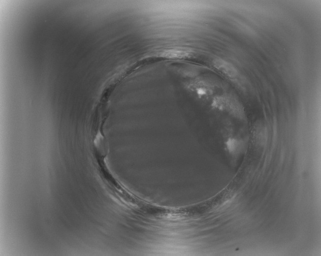 X0000070860303200606302053