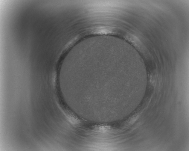 X0000070860304200606302053