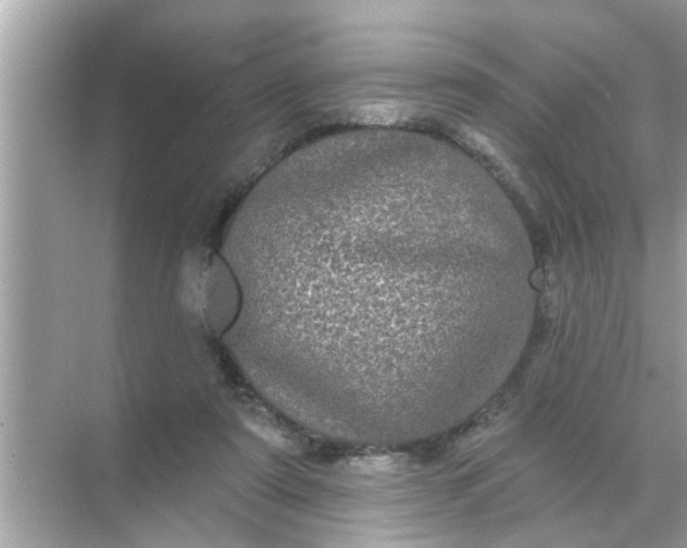 X0000070860307200606302053