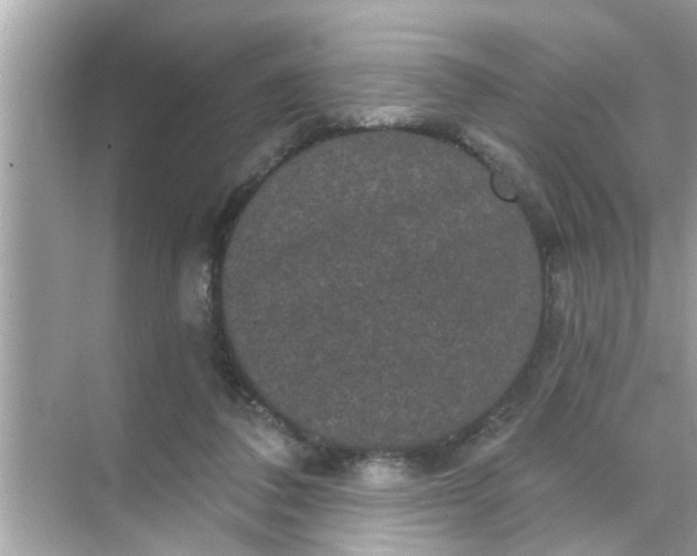 X0000070860308200606302053