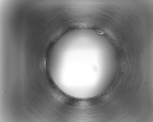 X0000070860310200606302052