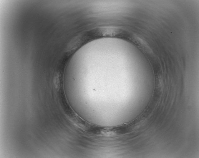 X0000070860311200606302052