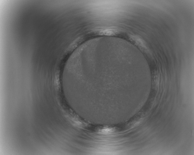 X0000070860312200606302052