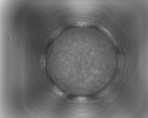 X0000070860313200606302052