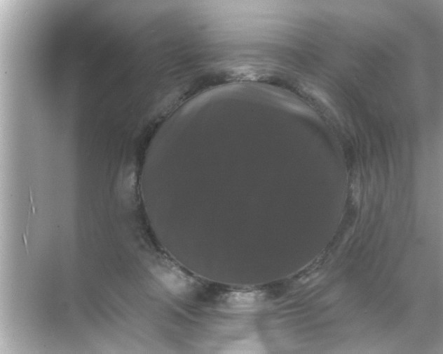 X0000070860314200606302052