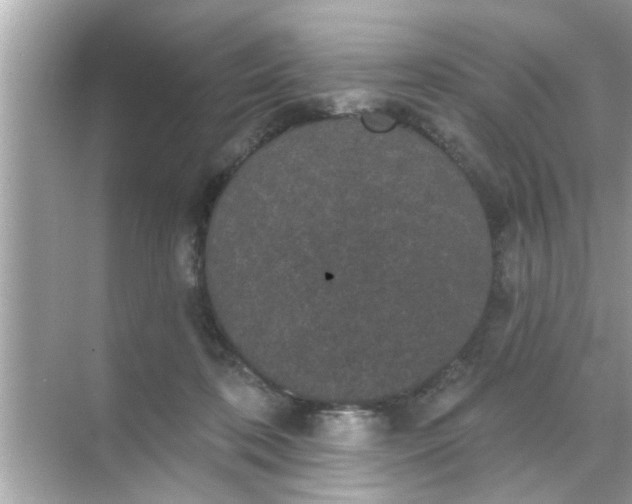 X0000070860316200606302052