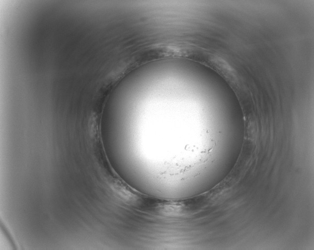 X0000070860318200606302052