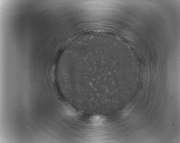 X0000070860319200606302052