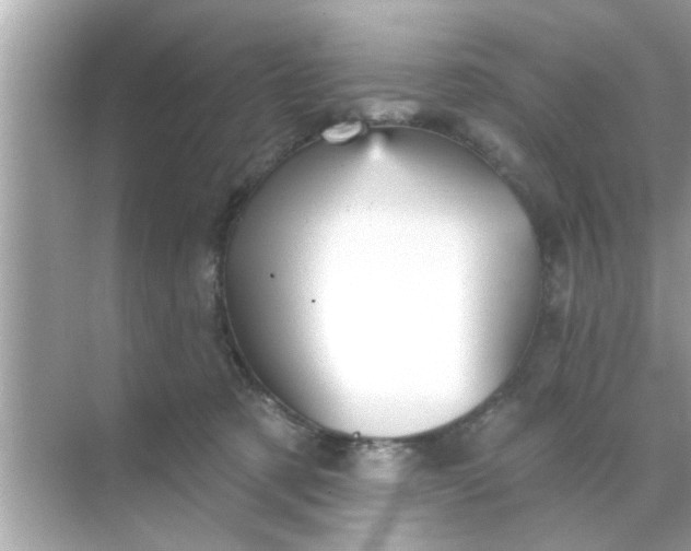 X0000070860321200606302052