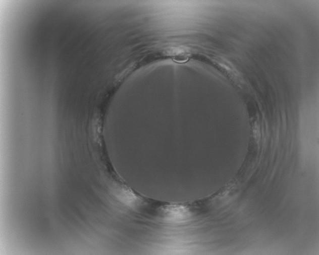 X0000070860322200606302052