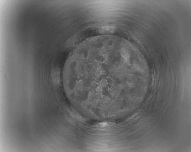 X0000070860323200606302052