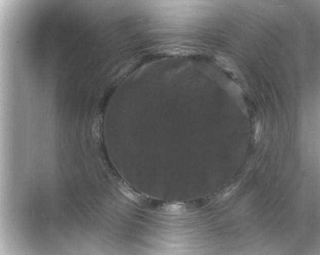 X0000070860325200606302052