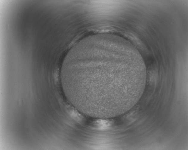 X0000070860326200606302052